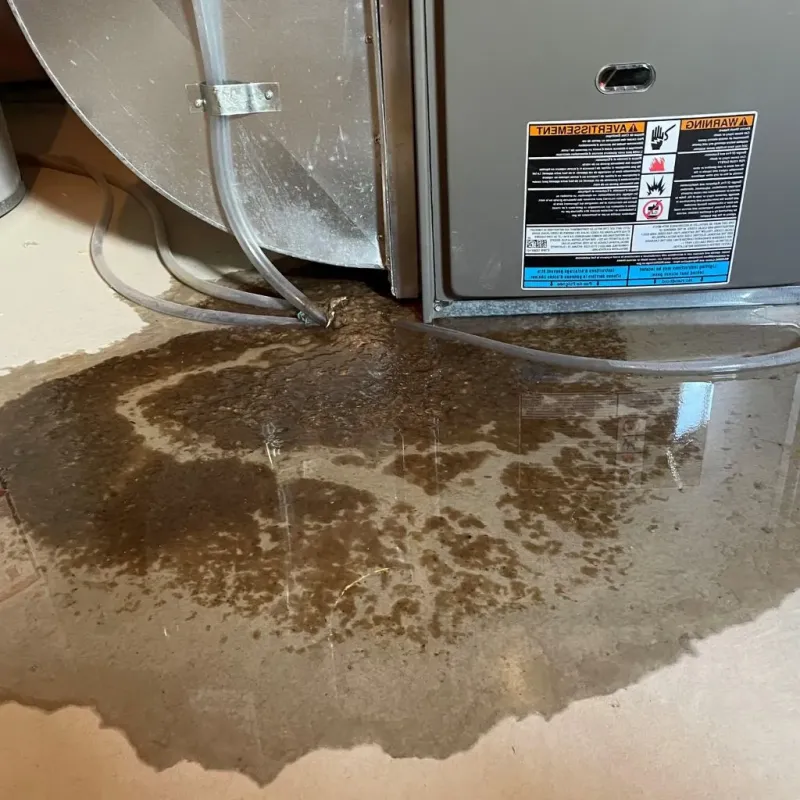Pipe Burst and Leak Restoration in Blackwell, OK